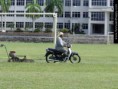 /album/nepochopitelne-hloupe-napady/how-to-mow-grass-bike-jpg/